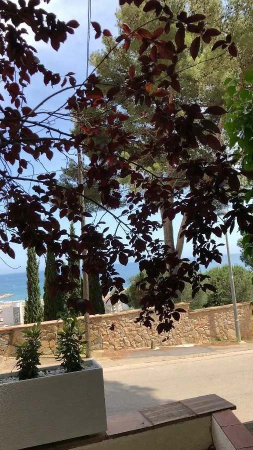 Mediterrania 98 Torroella de Montgrí 0*,